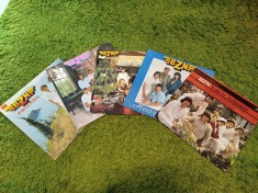 PACK 5 Discuri vinil LP - BZN - (VG/VG+)