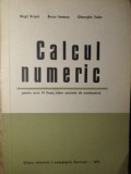 CALCUL NUMERIC PENTRU ANUL III LICEU, CLASE SPECIALE DE MATEMATICA-VIRGIL BRISCA, BUCUR IONESCU, GHEORGHE T-361093