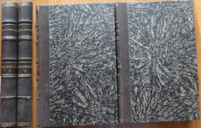 Cezar Petrescu, Intunecare, 1929, 2 volume, editia 1 foto