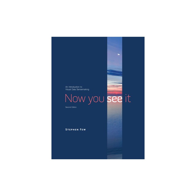 Now You See It: An Introduction to Visual Data Sensemaking