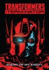 Transformers vs. the Terminator