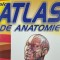 Atlas de anatomie - Aurora Mihai