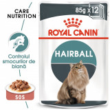 Cumpara ieftin Royal Canin Hairball Care Adult hrana umeda pisica, limitarea ghemurilor blanii (in sos), 12 x 85 g