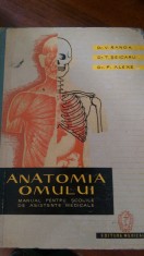 lxxc5 Anatomia omului Manual pt.scolile de asistente medicale-V.Ranga,T.Seicaru foto