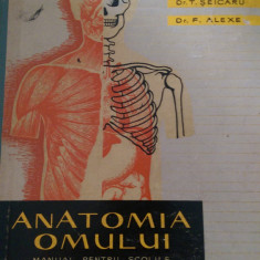 Anatomia omului Manual pt.scolile de asistente medicale V.Ranga 1961