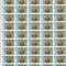 ANUL INT. AL OCEANULUI 1998 LP1464. MNH SET IN COLI DE 50, TIRAJ 1.035.000