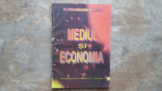 Mediul si Economia - Iolanda Daduianu Vasilescu, 1997 foto