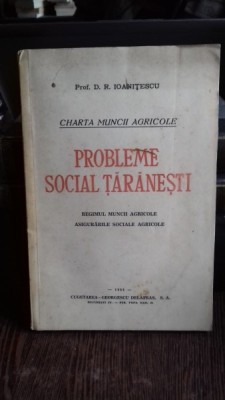 Probleme social taranesti - Prof.D.R.IOANITESCU, foto