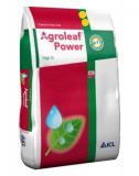 Ingrasamant Agroleaf Power High K 15+10+31+ME+Biostim 15 kg