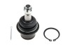 Rotula brat suspensie Nissan 350z 2002-, Maxima 2003-, Altima 2001-, Infiniti G35 2002-, Fata, Inferior, NTY ZSD-NS-038