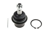 Rotula brat suspensie Nissan 350z 2002-, Maxima 2003-, Altima 2001-, Infiniti G35 2002-, Fata, Inferior, NTY ZSD-NS-038
