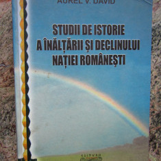 Aurel V. David - Studii de istorie a înălțării și declinului nației românești