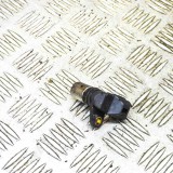 Senzor de poziție arbore cotit TOYOTA LAND CRUISER 80 _J8_ 1991 OEM: 90919-05052,029600-1160 | 14316663