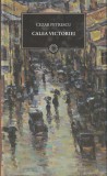 CEZAR PETRESCU - CALEA VICTORIEI ( JURNALUL 37 ) 2009