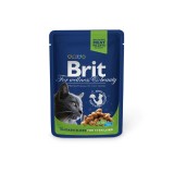 Hrana umeda pentru pisici sterilizate, Brit, adult, carne de pui, 100g