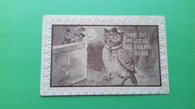 Bufnita Owl old postcards foto