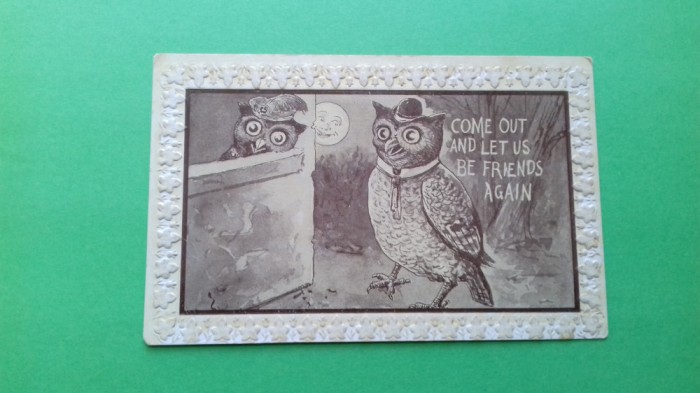 Bufnita Owl old postcards