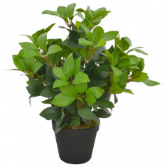 Plantă Artificială Dafin Cu Ghiveci Verde 40 cm 280177