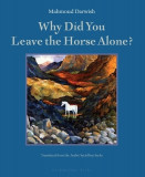 Why Did You Leave the Horse Alone?: