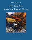 Why Did You Leave the Horse Alone?: