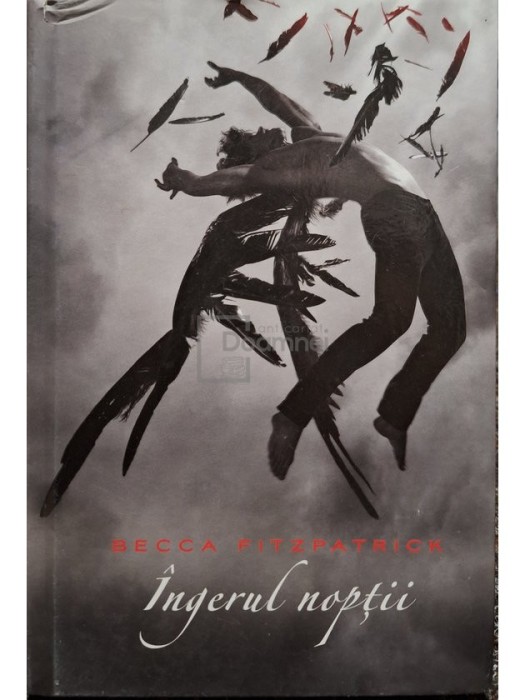Becca Fitzpatrick - Ingerul noptii (Editia: 2010)