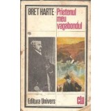 Prietenul meu vagabondul - Bret Harte