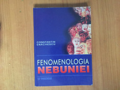 h1a Fenomenologia nebuniei - Constantin Enachescu foto