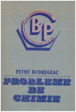 Petru Budrugeac - Probleme de chimie - 127468