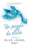 Cumpara ieftin Un puzzle de sticla. Seria Fata invizibila. Volumul 2/Blue Jeans, Rao