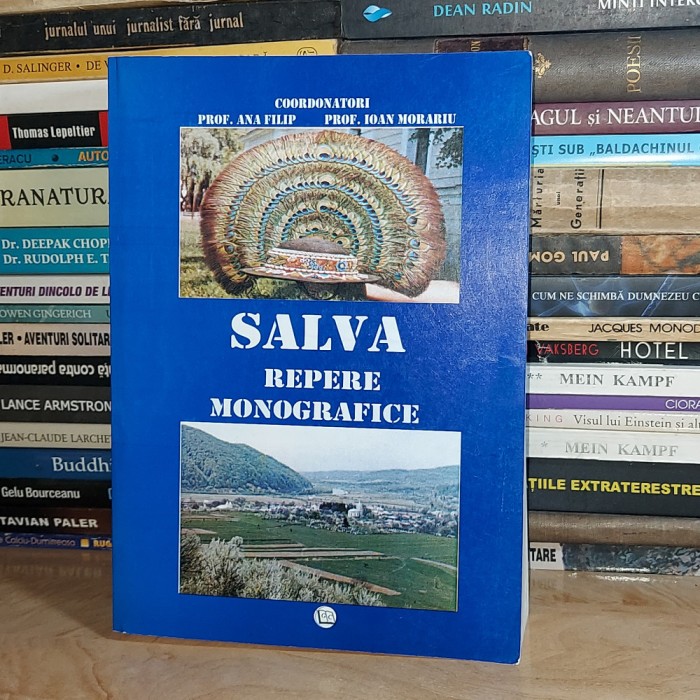 IOAN MORARIU - SALVA. REPERE MONOGRAFICE , BISTRITA , 2005 *