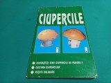 CIUPERCILE * CUNOAȘTEȚI BINE CIUPERCILE, CULTURA CIUPERCILOR, REȚETE CULINARE / P.VLAD / 1996 * 800