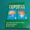 CIUPERCILE * CUNOAȘTEȚI BINE CIUPERCILE, CULTURA CIUPERCILOR, REȚETE CULINARE / P.VLAD / 1996 * 800