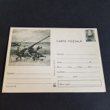 Lot Carti Postale Romania - Tematica Militară - Perioada Anilor 1965-1989, Necirculata, Printata, Romania de la 1950