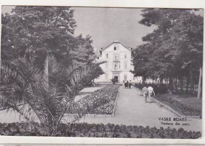 bnk cp Vasile Roaita - Vedere din parc - circulata foto