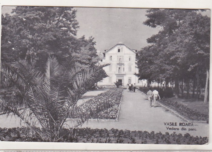 bnk cp Vasile Roaita - Vedere din parc - circulata