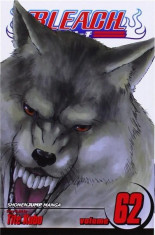 Bleach Vol. 62 - Heart of Wolf | Tite Kubo foto