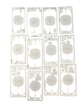 Protectie laser iPhone 8 - 14 Pro Max -set 19 buc