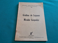 GRĂDINA DE LEGUME A MICULUI GOSPODAR * I. HAGI CULEV /1940 * foto