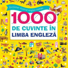 Dicționar ilustrat englez-român. 1000 de cuvinte în limba engleză - Hardcover - Litera mică