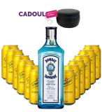 Party Box GIN TONIC MIX