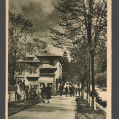 CPIB 21273 CARTE POSTALA - SINAIA. VEDERE, LIBRARIA NOASTRA, RPR