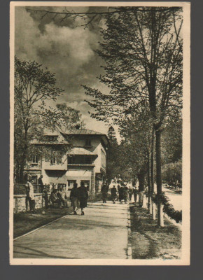 CPIB 21273 CARTE POSTALA - SINAIA. VEDERE, LIBRARIA NOASTRA, RPR foto