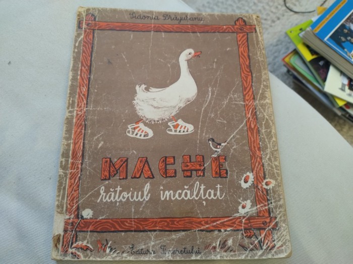 Mache, rățoiul &icirc;ncălțat. Sidonia Drăgușanu. 1952
