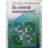 DIN UNIVERSUL AUTOCUNOASTERII-ADINA CHELCEA, SEPTIMIU CHELCEA-222912