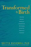 Transformed by Birth: Cultivating Openness, Resilience, and Strength for the Life Changing Journey from Pregnancy to Parenthood