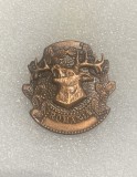 Insigna v&acirc;nătoare Rom&acirc;nia