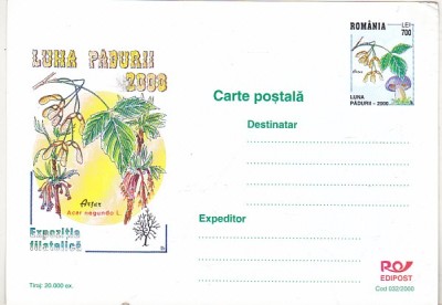 bnk cp Expofil Luna Padurii 2000 - necirculata - marca fixa - 032/2000 foto