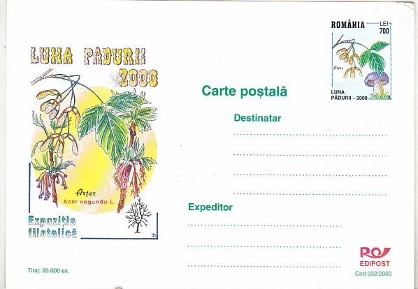 bnk cp Expofil Luna Padurii 2000 - necirculata - marca fixa - 032/2000