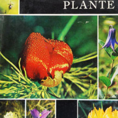 Tudor Opris – Aceste uimitoare plante