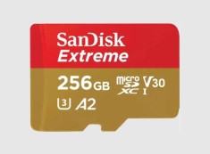 Card de Memorie MicroSDXC SanDisk, 256GB, UHS-I, Class 10, 80MB/s